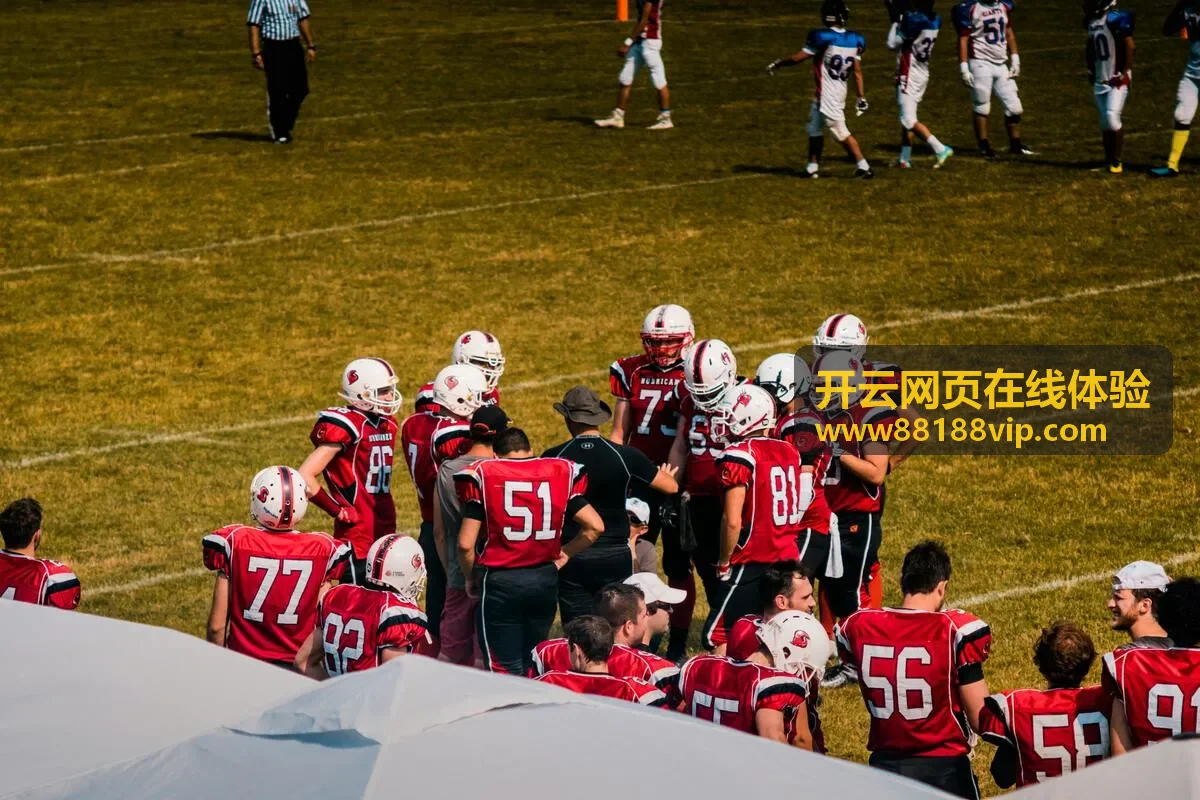 开云网页在线体验入口位置示意封面