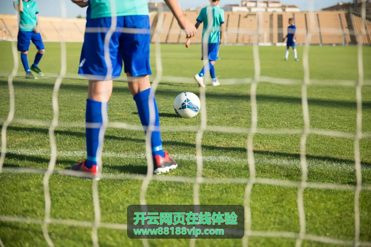 开云网页在线体验设置与画质选项模块示意
